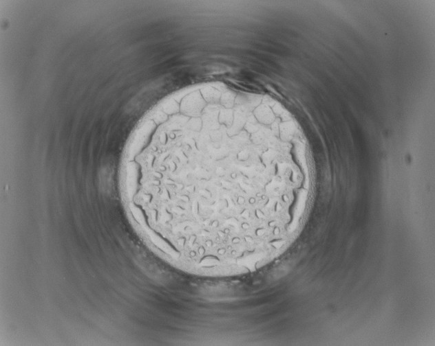 X0000062900177200602101816