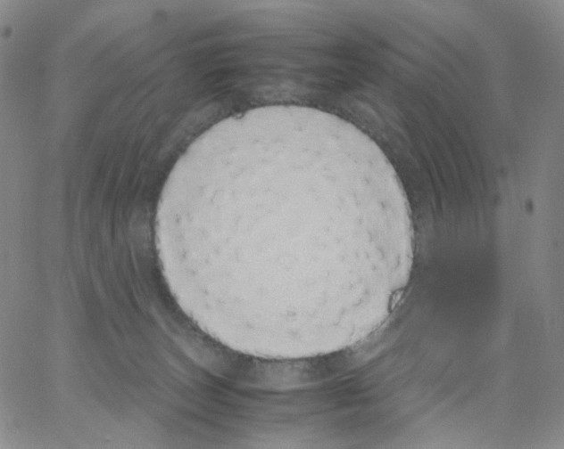 X0000062900179200602101816