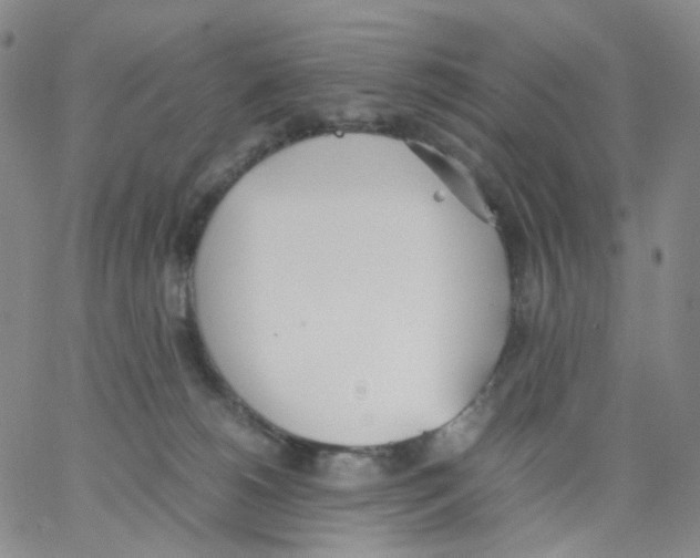 X0000062900180200602101816