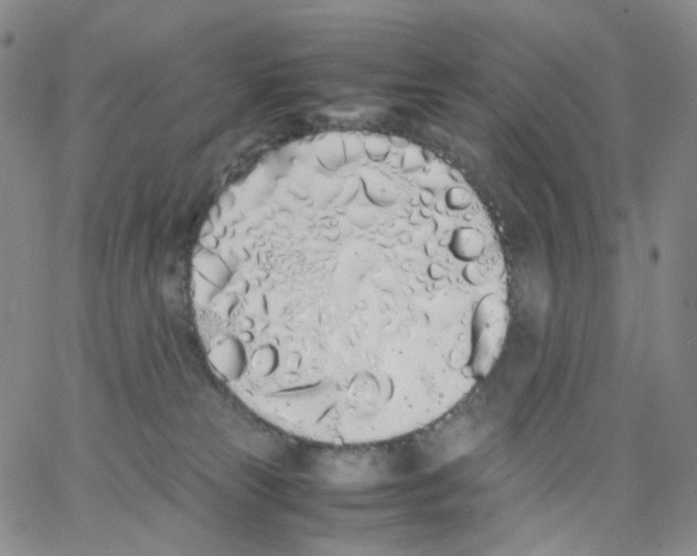 X0000062900181200602101816