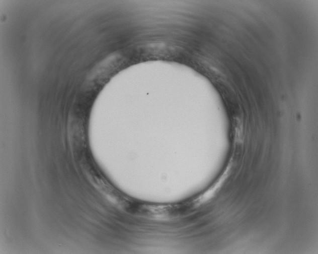 X0000062900182200602101816