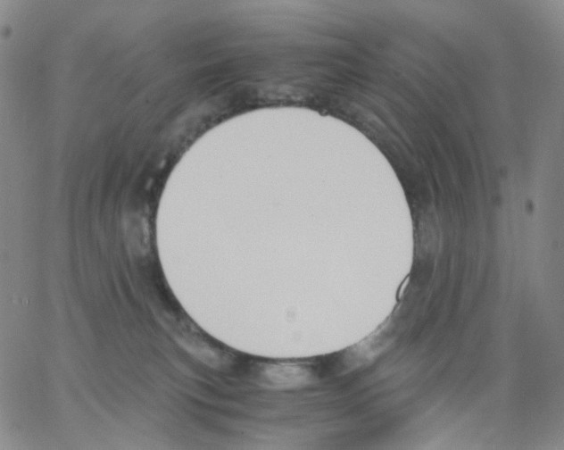 X0000062900183200602101816