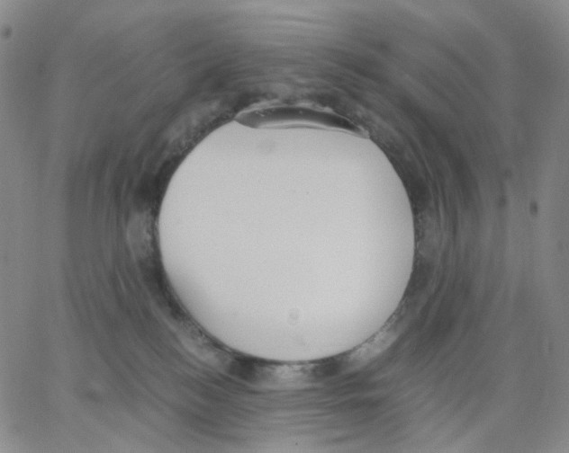 X0000062900184200602101816