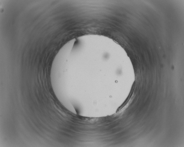 X0000062900186200602101816