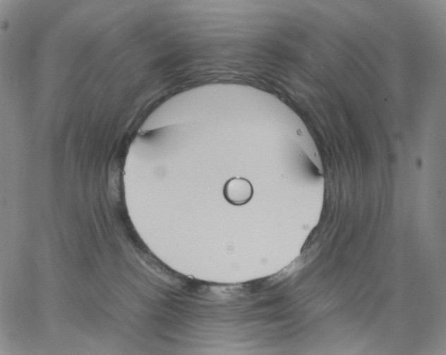 X0000062900188200602101816