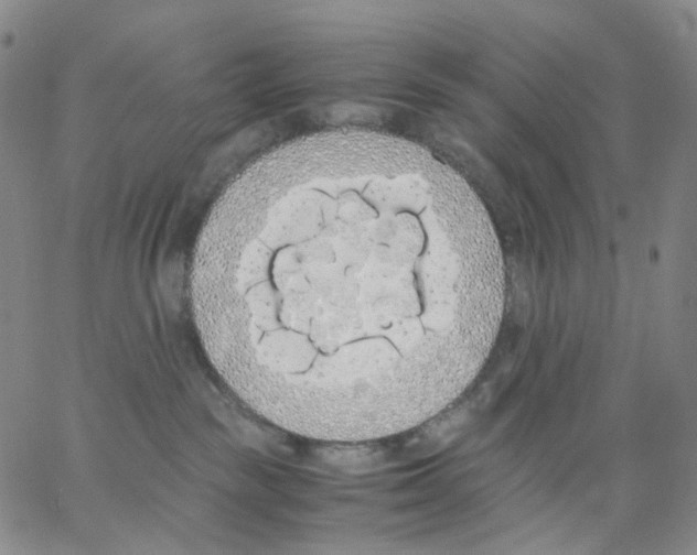 X0000062900189200602101816