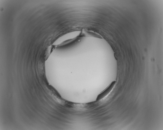 X0000062900192200602101816