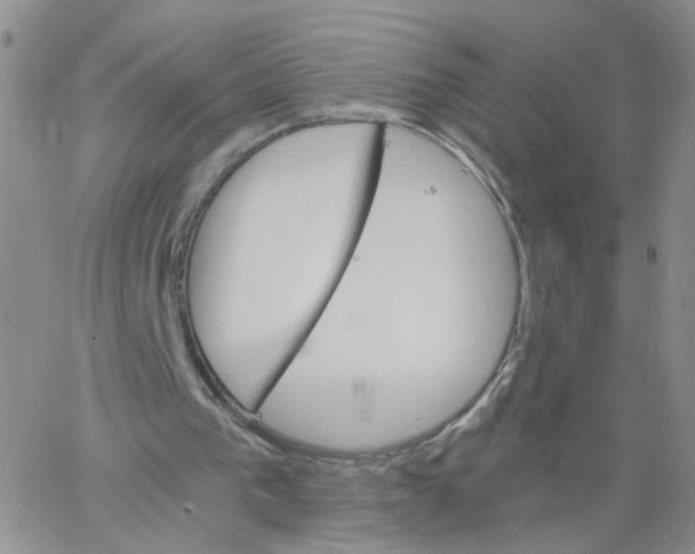 X0000062900193200602101815