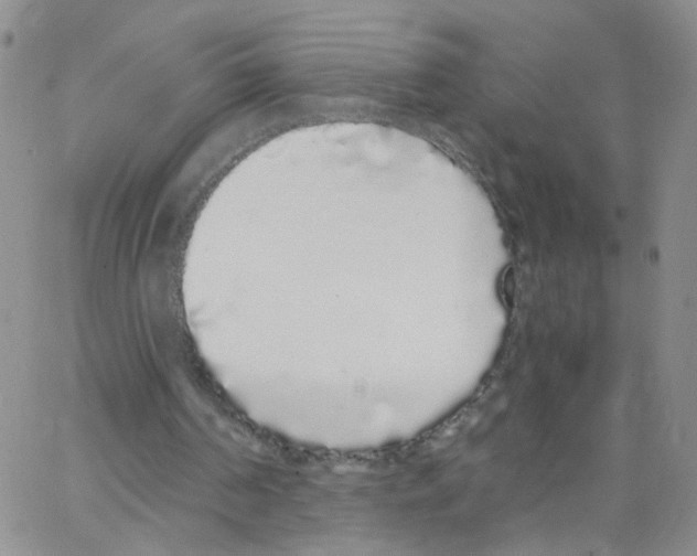 X0000062900194200602101815