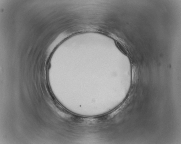 X0000062900195200602101815