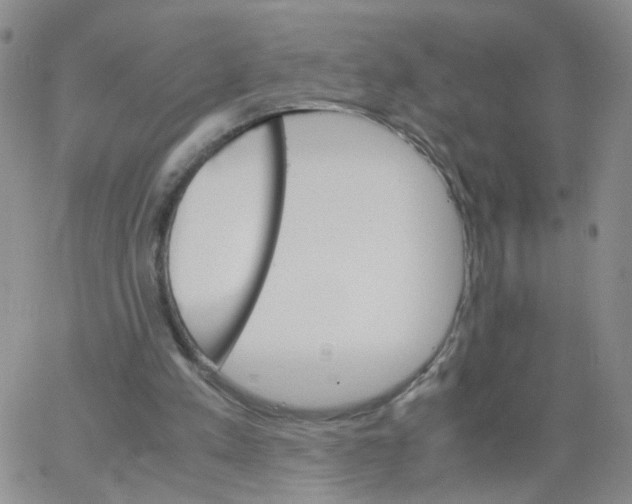 X0000062900197200602101815