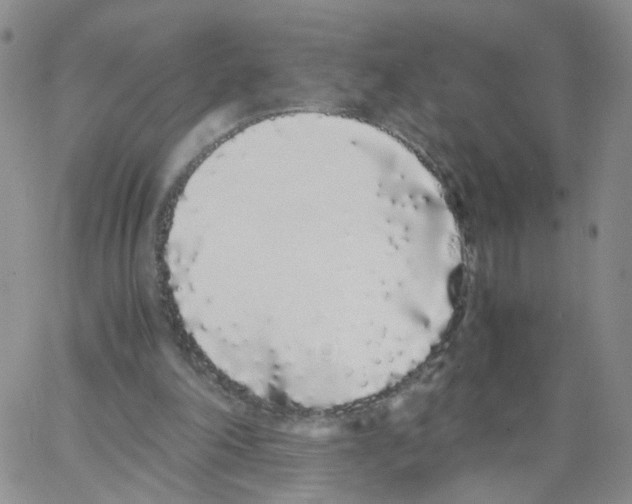 X0000062900198200602101815