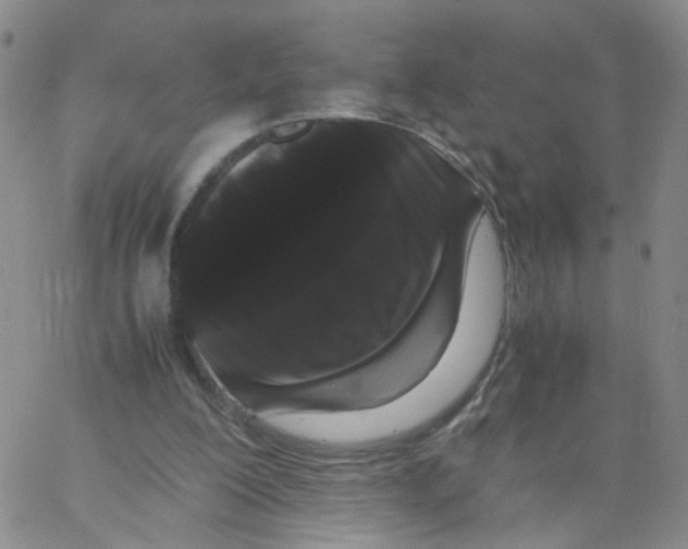 X0000062900200200602101815