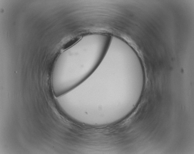 X0000062900201200602101815