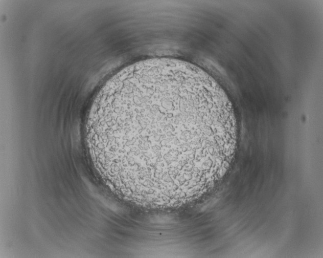 X0000062900202200602101815