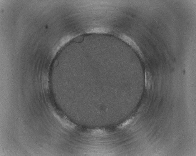 X0000062900204200602101815