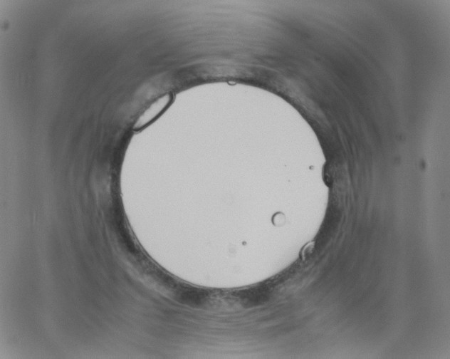 X0000062900207200602101815