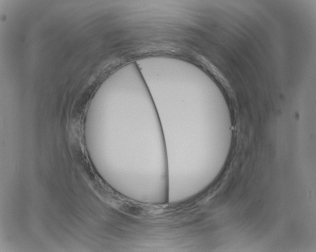 X0000062900209200602101815