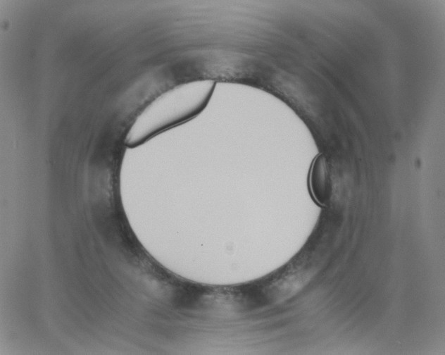 X0000062900211200602101815