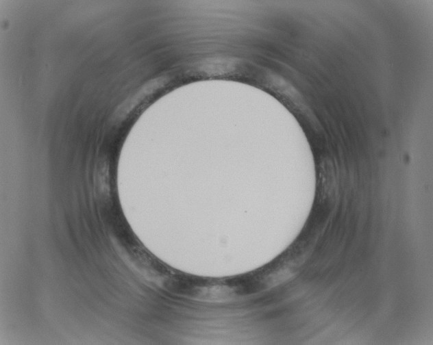 X0000062900212200602101815