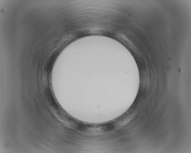 X0000062900213200602101815