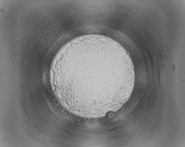 X0000062900214200602101815