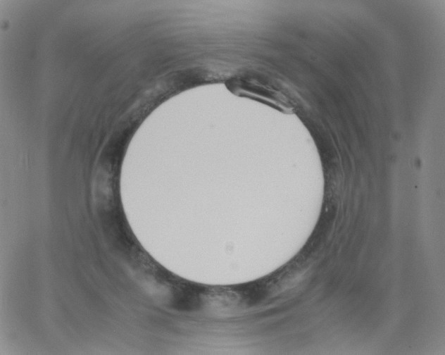 X0000062900215200602101815