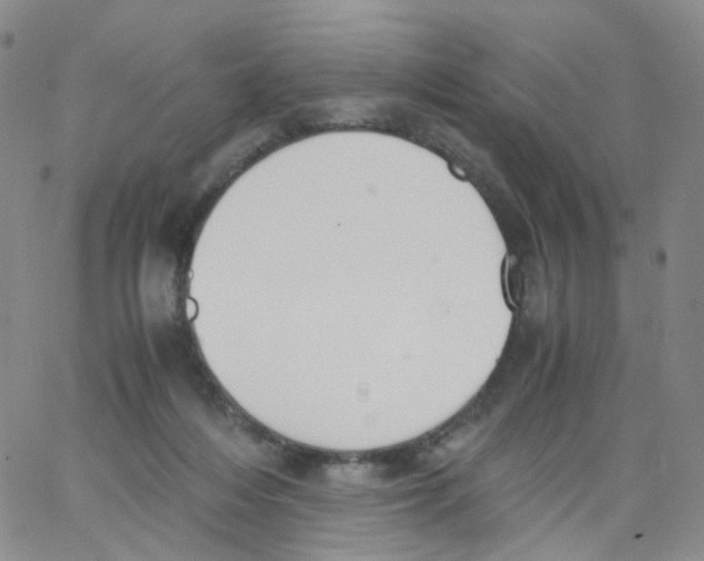 X0000062900216200602101815