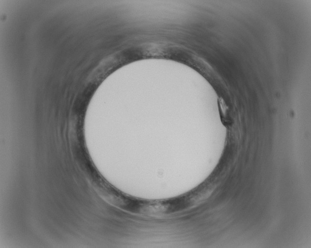 X0000062900217200602101815