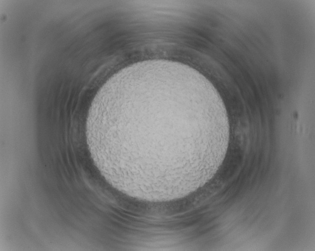 X0000062900218200602101815