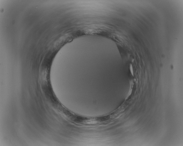 X0000062900219200602101815