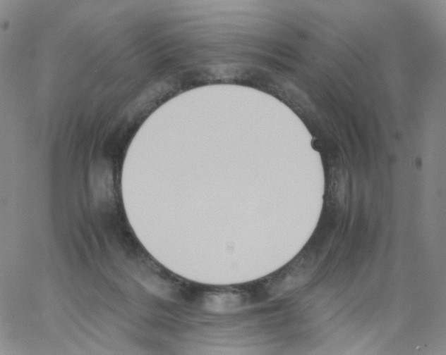 X0000062900220200602101815