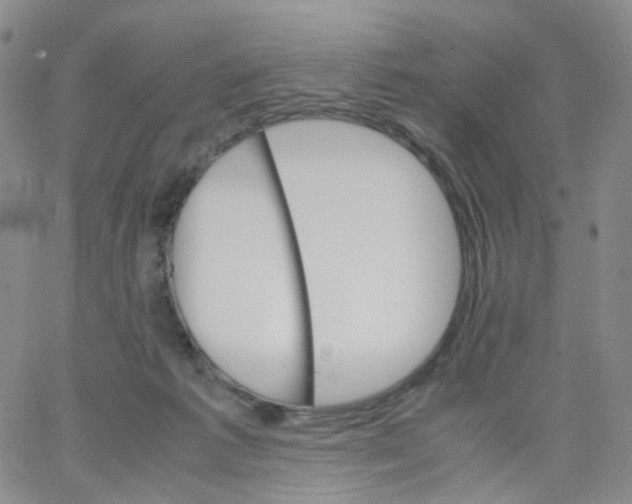 X0000062900221200602101815