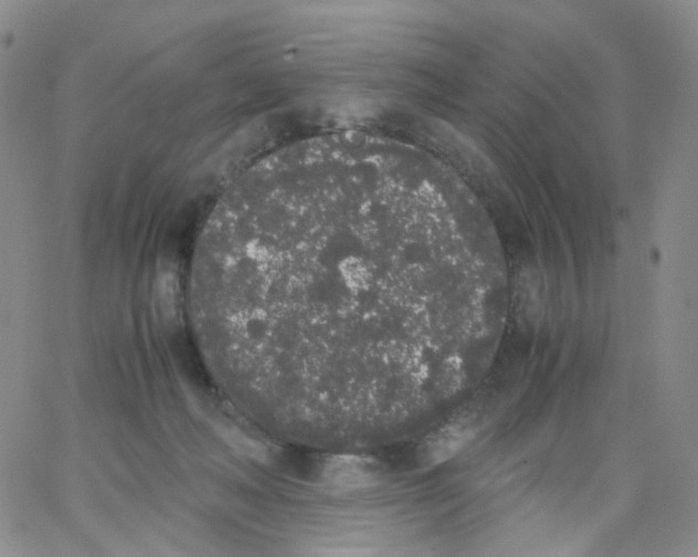 X0000062900222200602101815