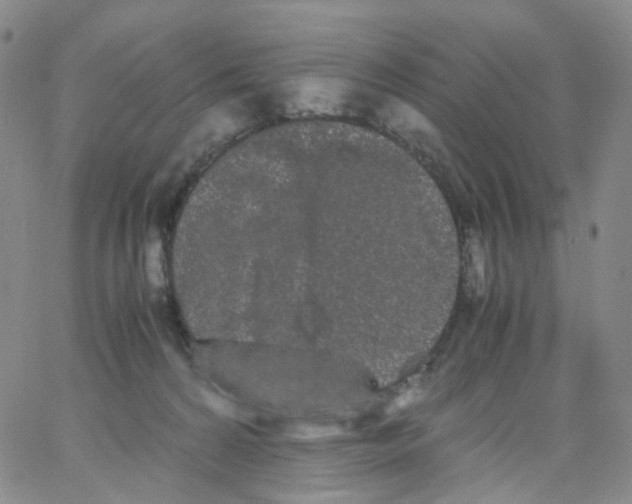 X0000062900224200602101815