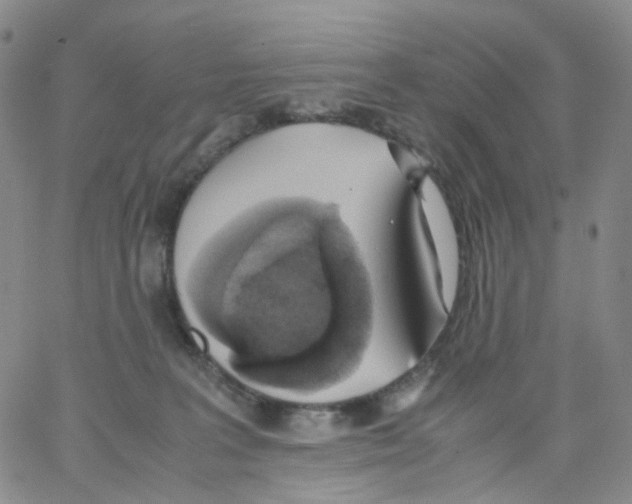 X0000062900227200602101815