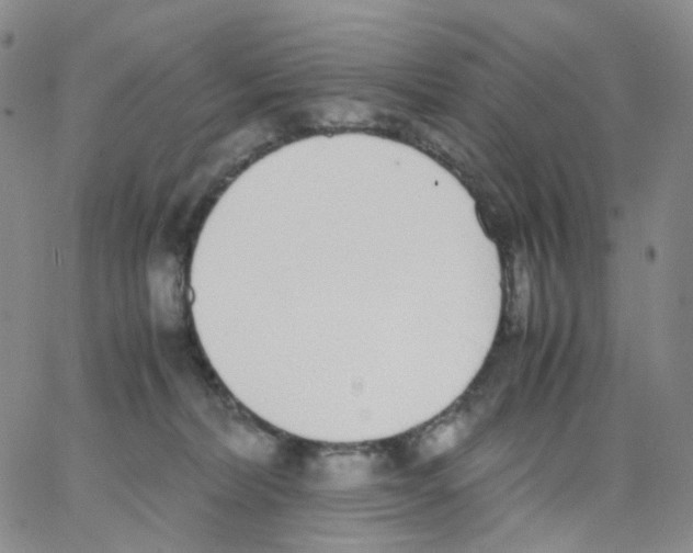 X0000062900228200602101815