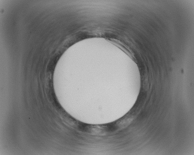 X0000062900229200602101815