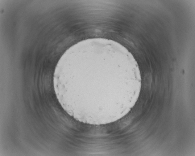 X0000062900230200602101815