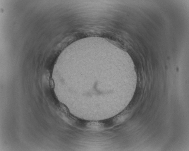 X0000062900231200602101815