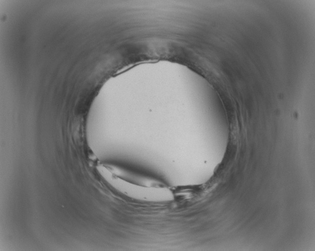 X0000062900233200602101815