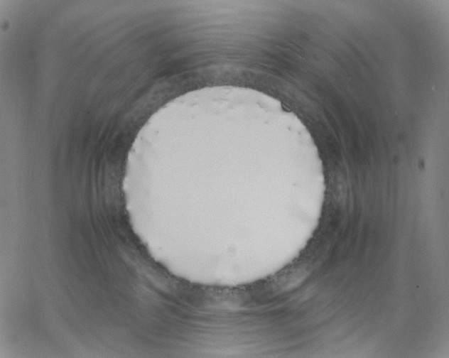 X0000062900234200602101815