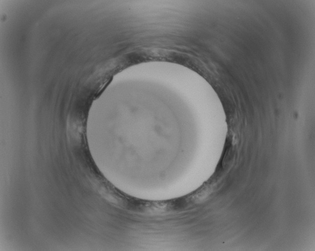 X0000062900235200602101815