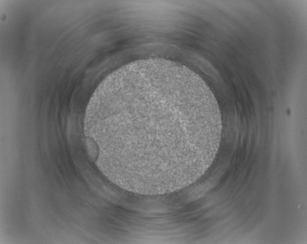 X0000062900236200602101815