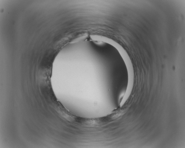 X0000062900237200602101815