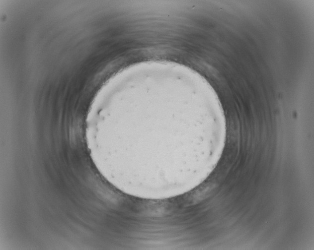 X0000062900238200602101815