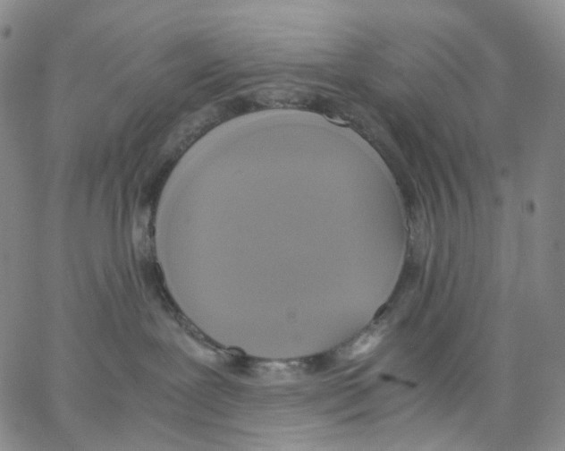 X0000062900239200602101815