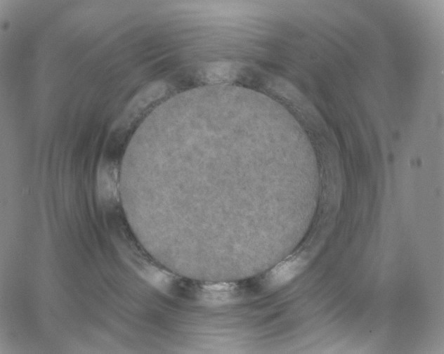 X0000062900240200602101815