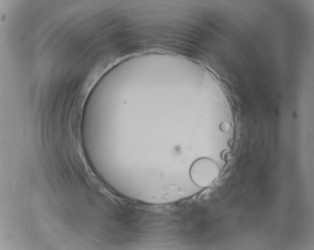 X0000062900241200602101814