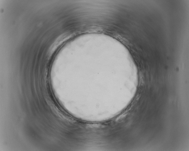 X0000062900242200602101814